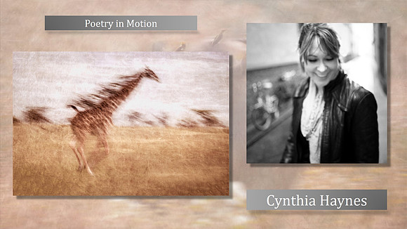 Cynthia Haynes