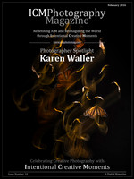 February 2026 - Photographer Spotlight Karen Waller
