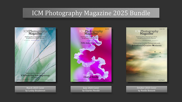 2025 Bundle