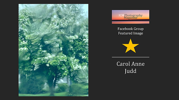 Carol Anne Judd