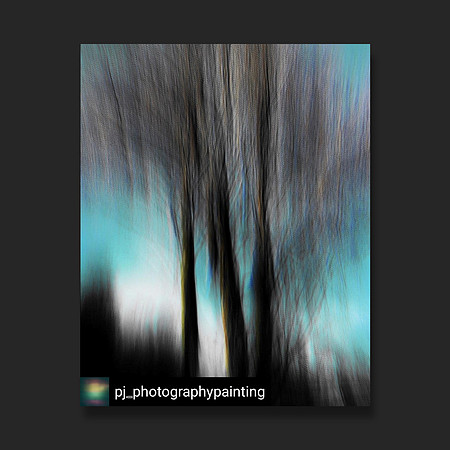 PJ Photography Painter