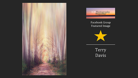 Terry Davis