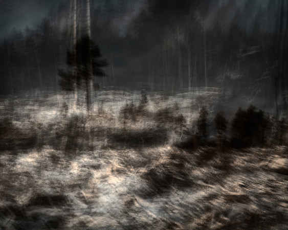 Clear-Felled Areas