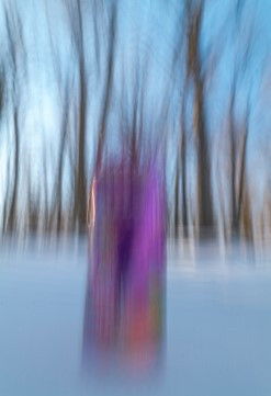 Soda Tree