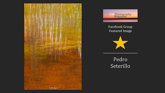 Pedro Seterillo
